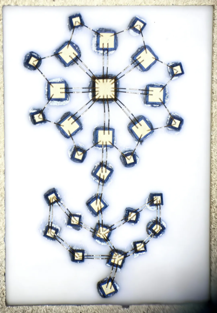 2026.4.6花海2 2026.4.6花海2