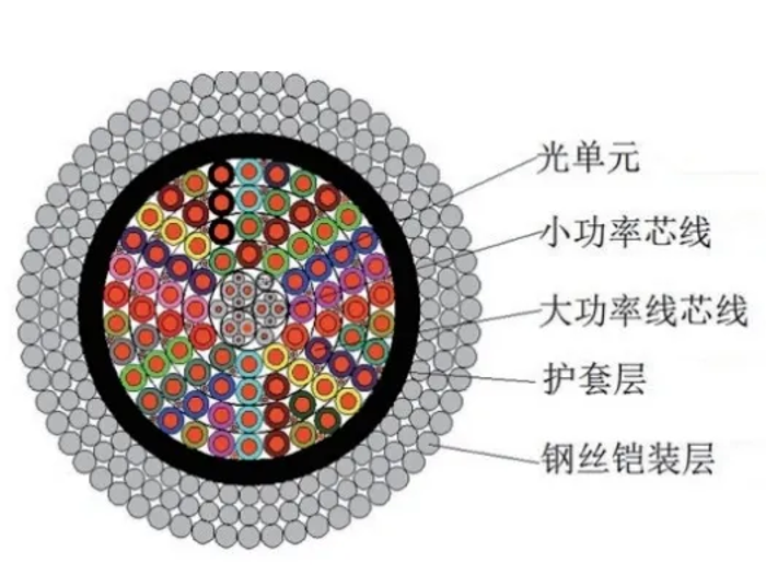 2026.4.6花海7 2026.4.6花海7